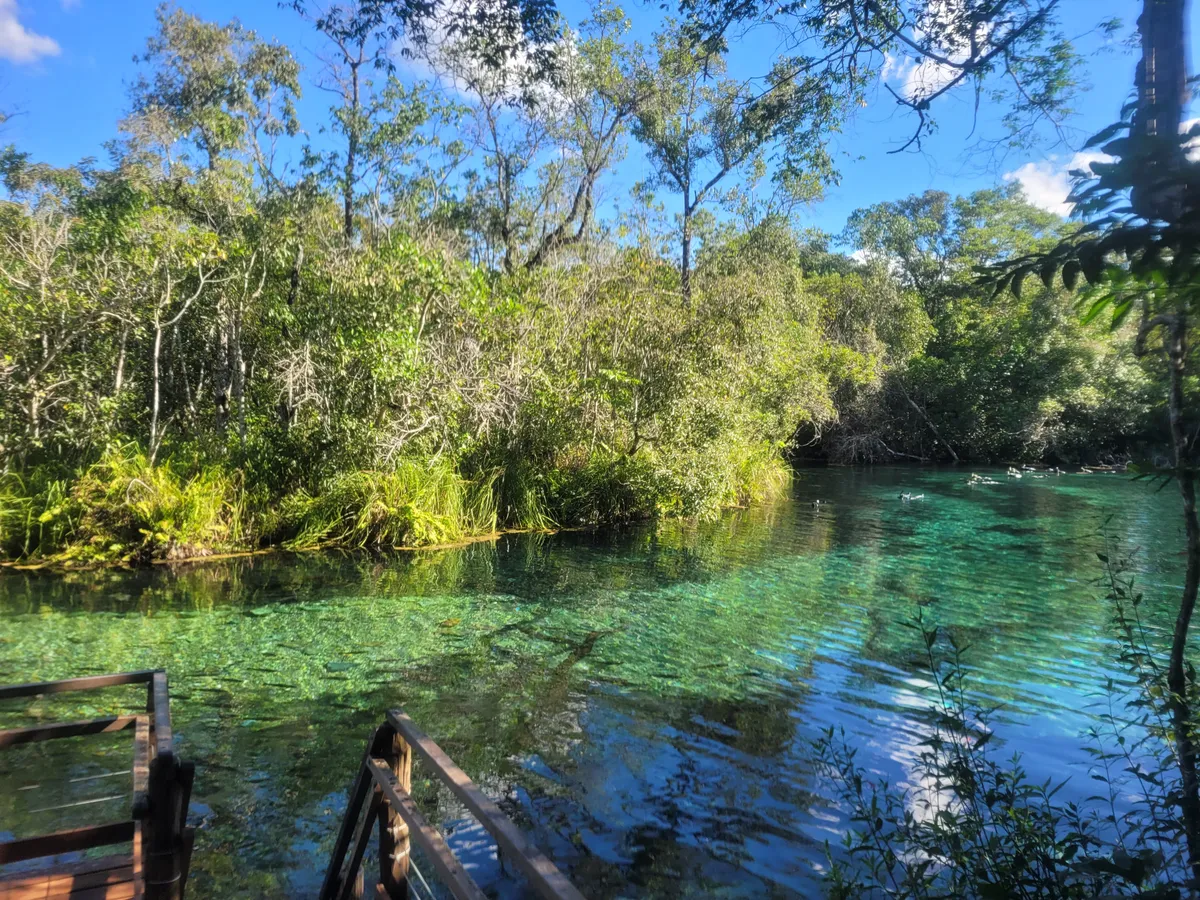 Discover Bonito, Brazil's ecotourism gem with crystal-clear rivers, vibrant underwater life, and stunning caves. Experience world-class snorkeling, waterfalls, and wildlife in this natural paradise.