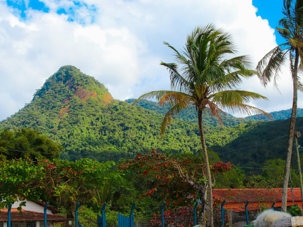 Discover Ilha Grande, a beatiful island near Rio de Janeiro, famous for its beautiful beaches, lush rainforests, and excellent snorkeling and diving spots. Perfect for nature lovers seeking a remote getaway.