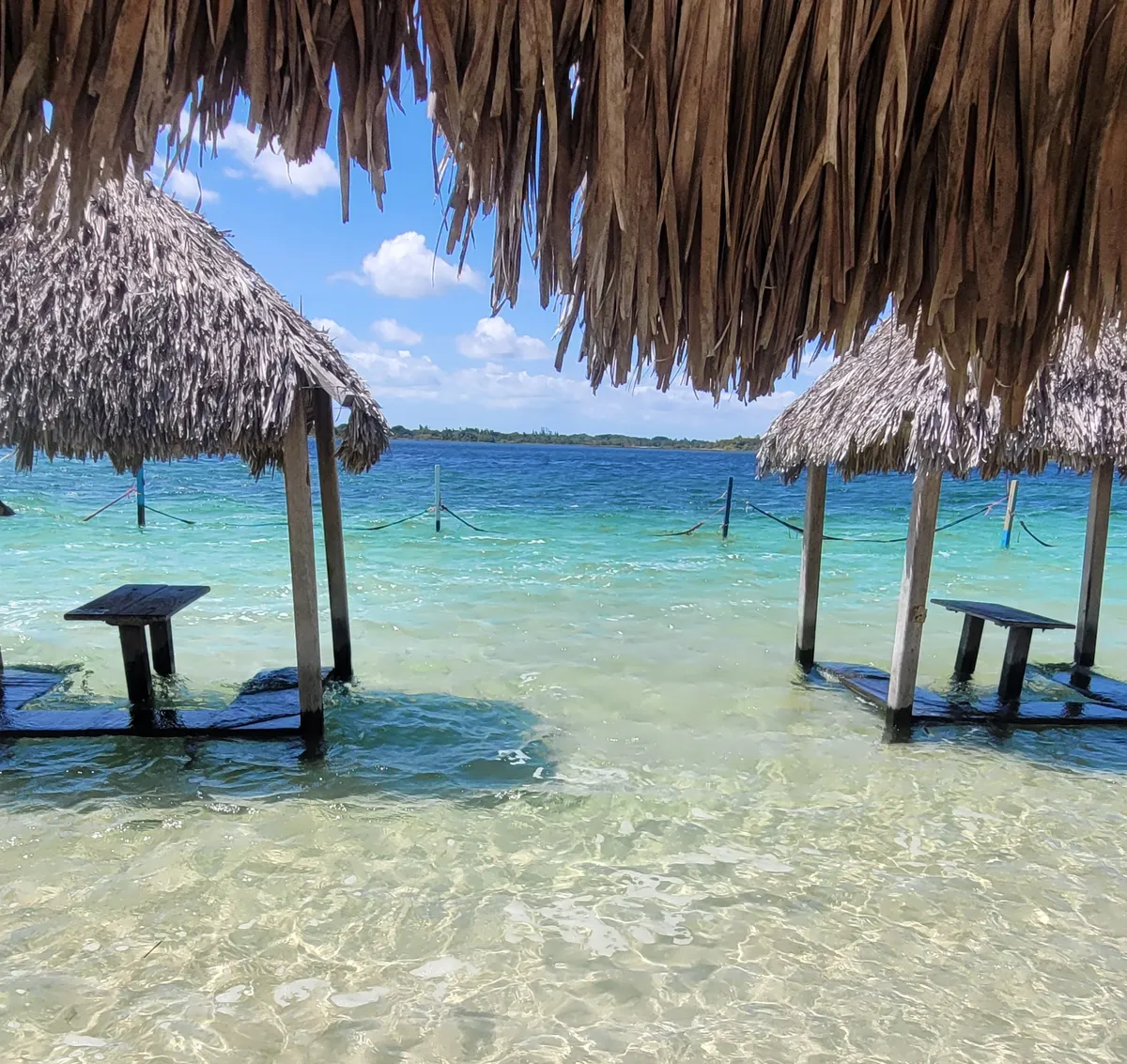 Discover Jericoacoara, a charming village in Brazil known for its sandy streets, vibrant sunsets, and excellent kitesurfing. Ideal for those seeking relaxation and adventure.