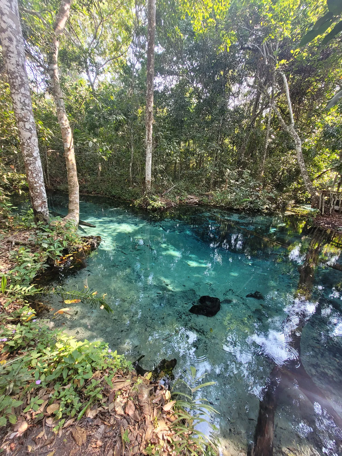 Discover Nobres, a hidden gem in Brazil, offering incredible snorkeling, vibrant wildlife, and serene waterfalls. Ideal for those seeking adventure and tranquility.