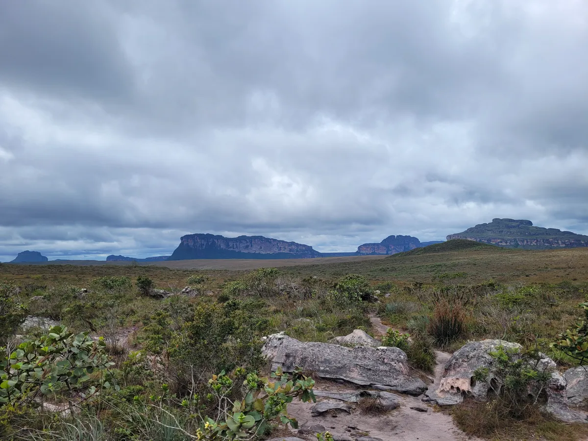 The Caatinga landscape in the Chapada Diamantina showing its characteristic dry vegetation.