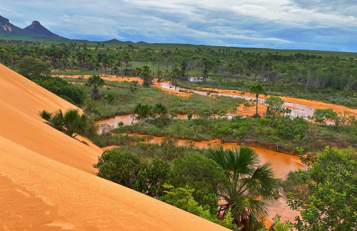 Picture of the landscape in Jalapão.